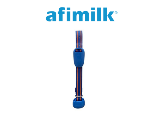 Diseño sin título (10)